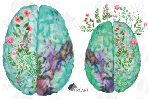 Evaluating the Floral Anatomical Human Brain Decoration for Creative Projects